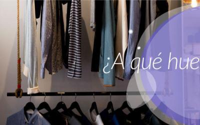 Aromatización profesional para empresas: más que un buen olor